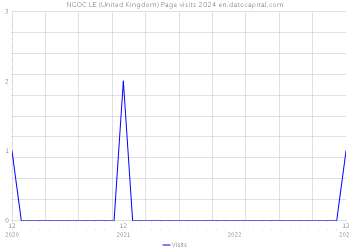 NGOC LE (United Kingdom) Page visits 2024 