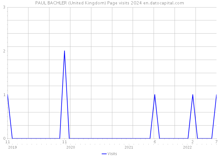 PAUL BACHLER (United Kingdom) Page visits 2024 