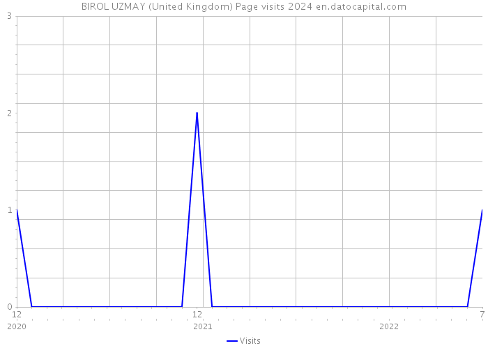 BIROL UZMAY (United Kingdom) Page visits 2024 