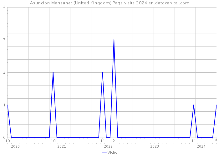Asuncion Manzanet (United Kingdom) Page visits 2024 