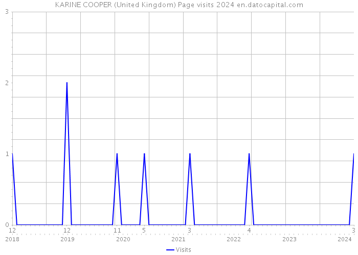 KARINE COOPER (United Kingdom) Page visits 2024 