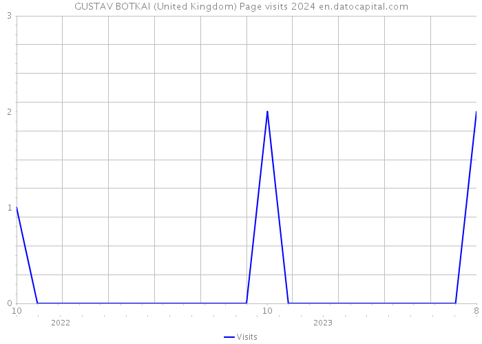 GUSTAV BOTKAI (United Kingdom) Page visits 2024 