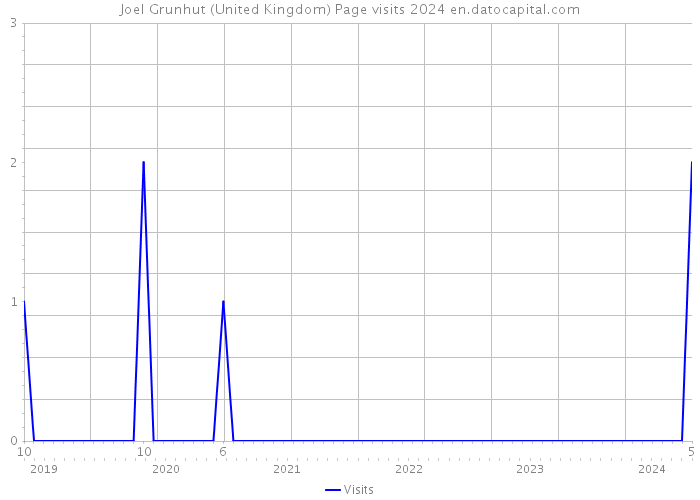 Joel Grunhut (United Kingdom) Page visits 2024 