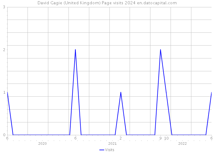 David Gagie (United Kingdom) Page visits 2024 