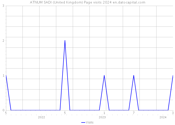 ATNUM SADI (United Kingdom) Page visits 2024 