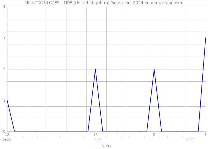 MILAGROS LOPEZ LINDE (United Kingdom) Page visits 2024 