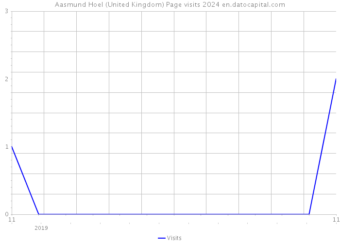 Aasmund Hoel (United Kingdom) Page visits 2024 