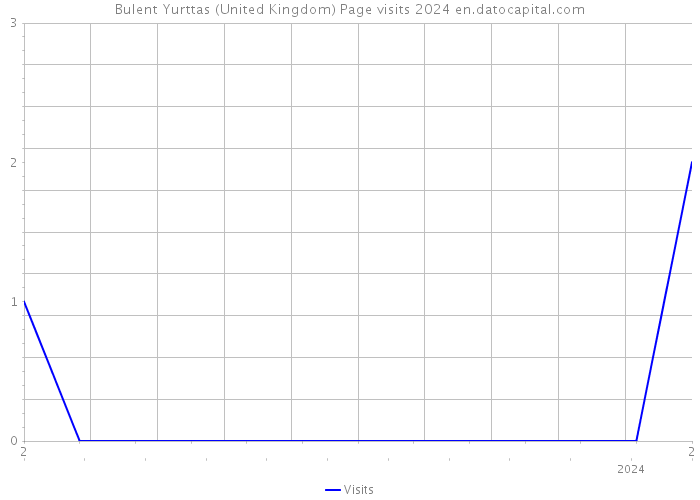 Bulent Yurttas (United Kingdom) Page visits 2024 