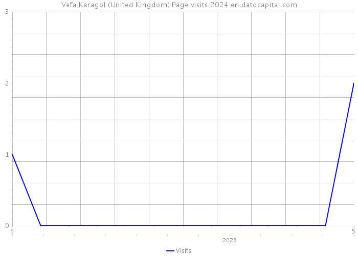 Vefa Karagol (United Kingdom) Page visits 2024 