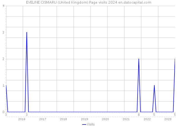 EVELINE CISMARU (United Kingdom) Page visits 2024 