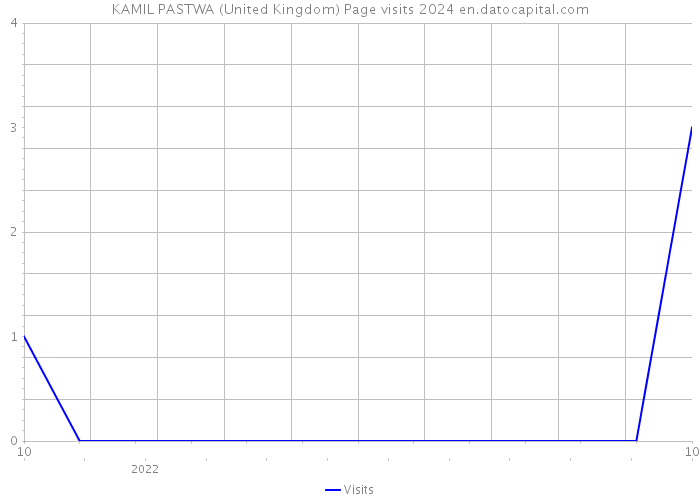 KAMIL PASTWA (United Kingdom) Page visits 2024 