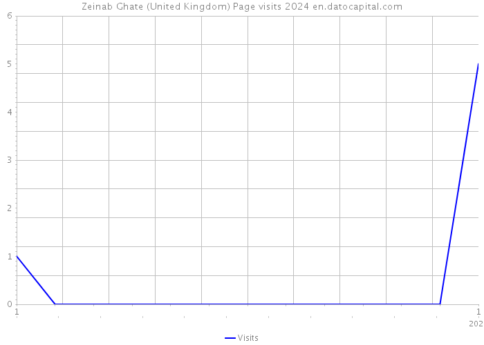 Zeinab Ghate (United Kingdom) Page visits 2024 