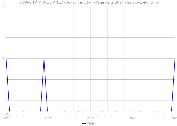 SQUASH & MORE LIMITED (United Kingdom) Page visits 2024 
