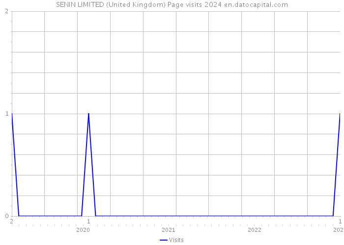 SENIN LIMITED (United Kingdom) Page visits 2024 