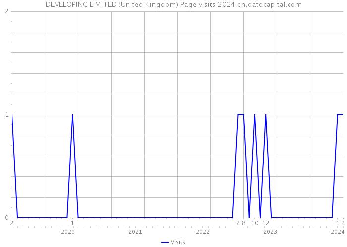 DEVELOPING LIMITED (United Kingdom) Page visits 2024 