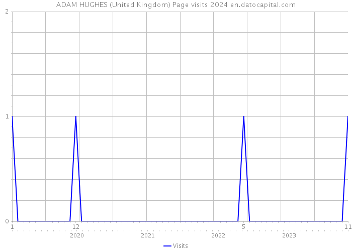ADAM HUGHES (United Kingdom) Page visits 2024 