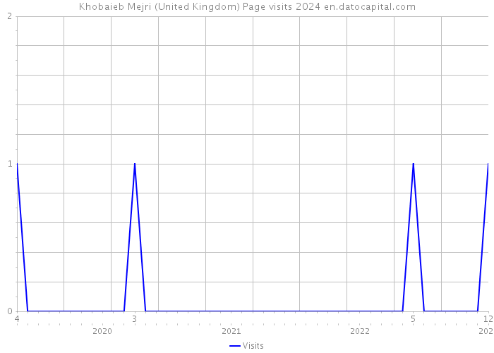 Khobaieb Mejri (United Kingdom) Page visits 2024 