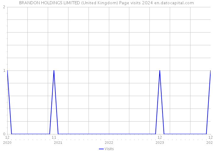 BRANDON HOLDINGS LIMITED (United Kingdom) Page visits 2024 