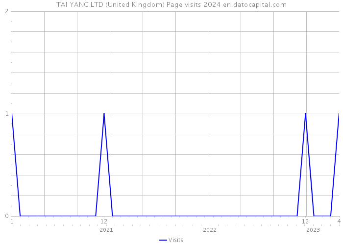 TAI YANG LTD (United Kingdom) Page visits 2024 