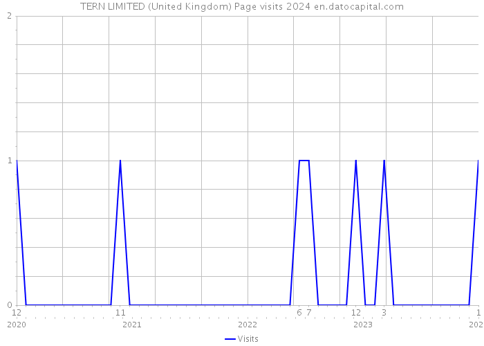 TERN LIMITED (United Kingdom) Page visits 2024 