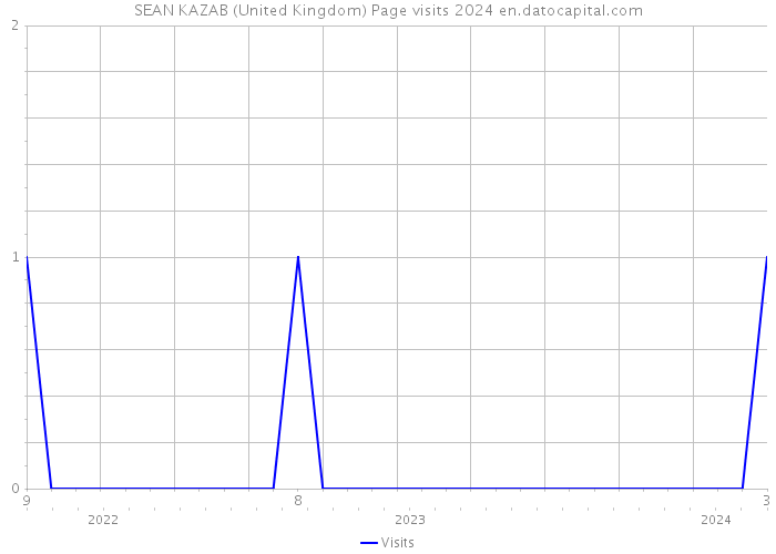 SEAN KAZAB (United Kingdom) Page visits 2024 