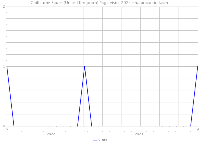 Guillaume Faure (United Kingdom) Page visits 2024 