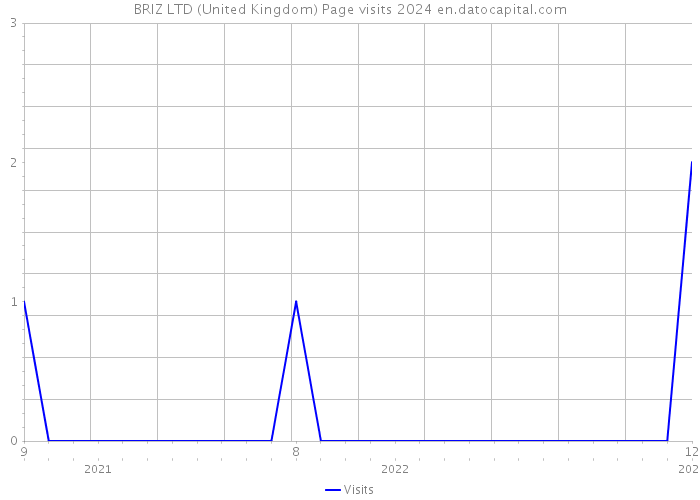 BRIZ LTD (United Kingdom) Page visits 2024 