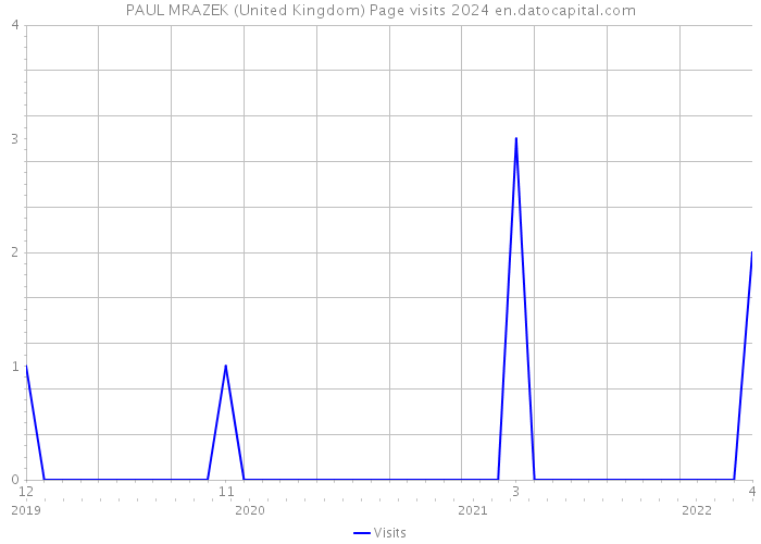 PAUL MRAZEK (United Kingdom) Page visits 2024 