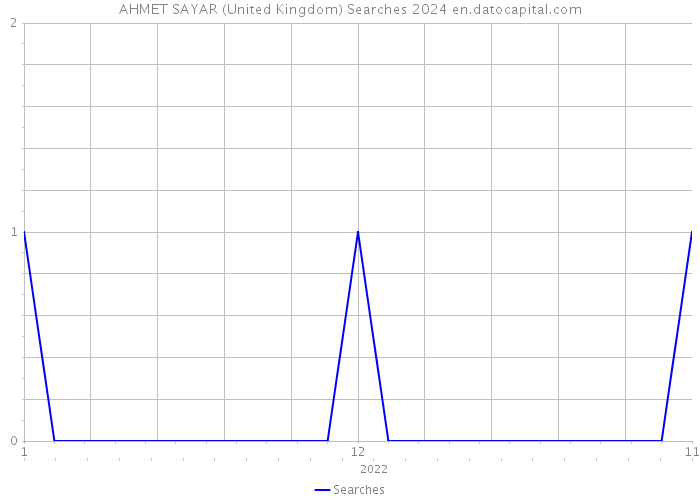 AHMET SAYAR (United Kingdom) Searches 2024 