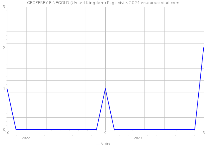 GEOFFREY FINEGOLD (United Kingdom) Page visits 2024 