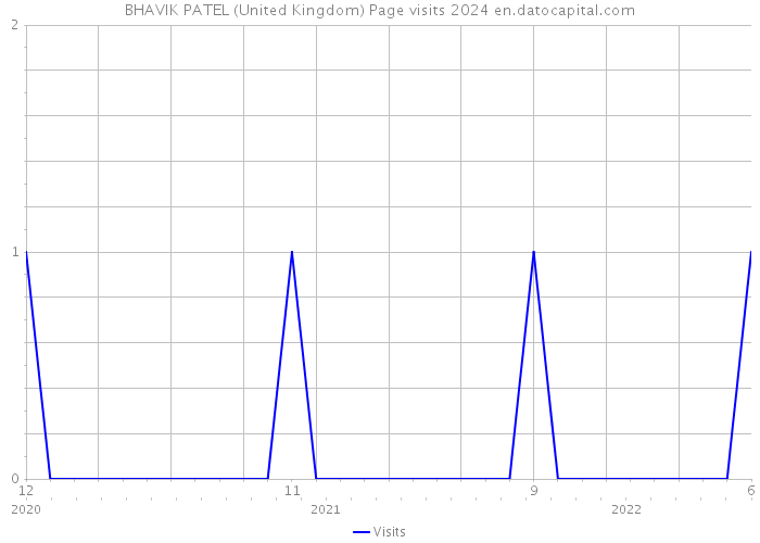 BHAVIK PATEL (United Kingdom) Page visits 2024 