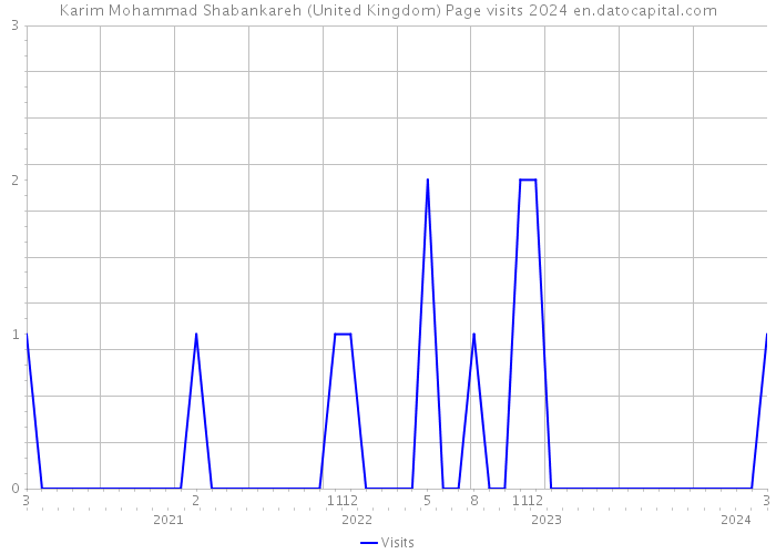 Karim Mohammad Shabankareh (United Kingdom) Page visits 2024 