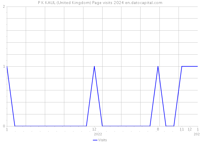 P K KAUL (United Kingdom) Page visits 2024 
