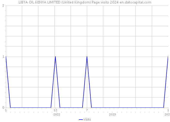 LIBYA OIL KENYA LIMITED (United Kingdom) Page visits 2024 
