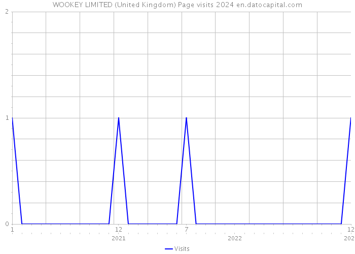 WOOKEY LIMITED (United Kingdom) Page visits 2024 