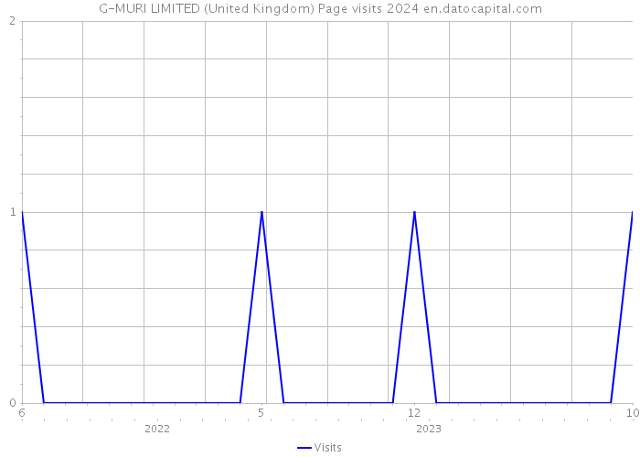 G-MURI LIMITED (United Kingdom) Page visits 2024 