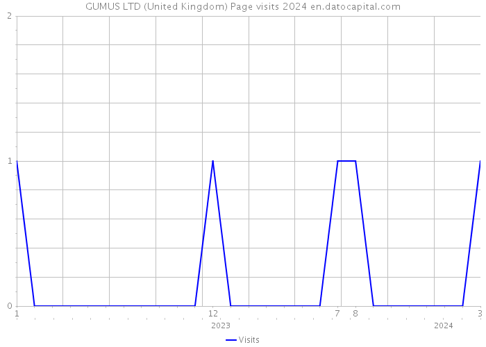 GUMUS LTD (United Kingdom) Page visits 2024 