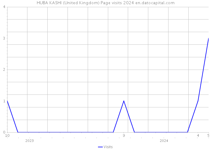 HUBA KASHI (United Kingdom) Page visits 2024 