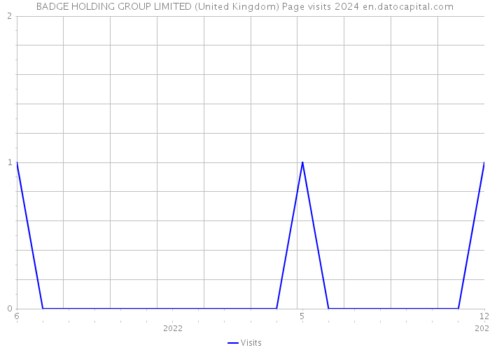 BADGE HOLDING GROUP LIMITED (United Kingdom) Page visits 2024 