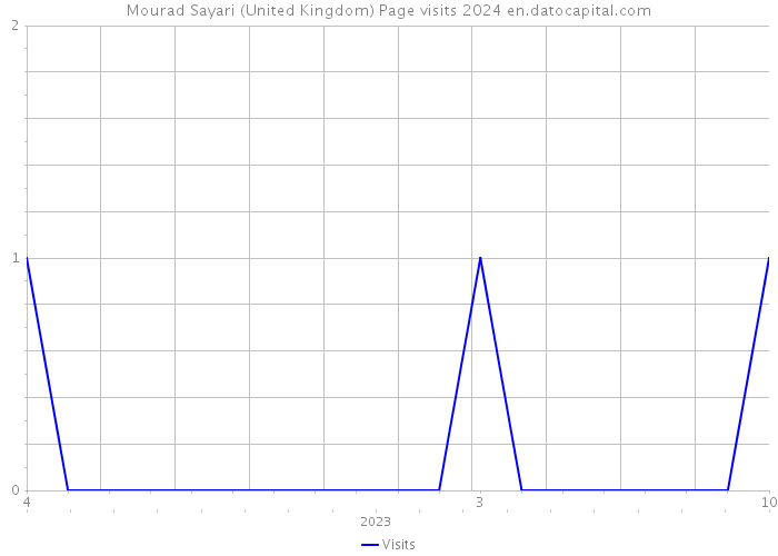 Mourad Sayari (United Kingdom) Page visits 2024 