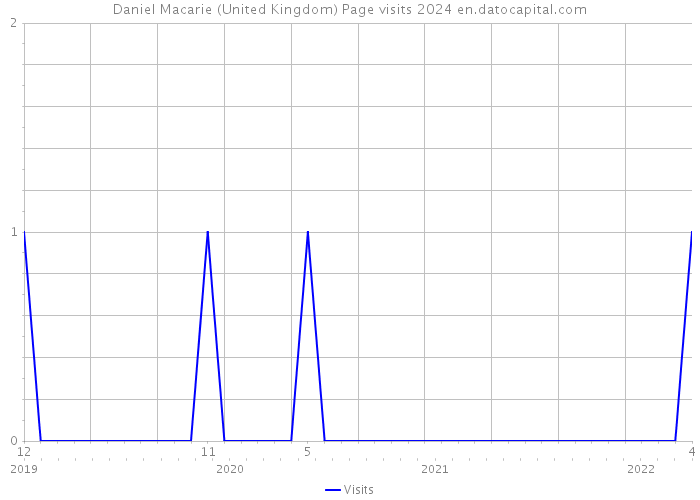 Daniel Macarie (United Kingdom) Page visits 2024 