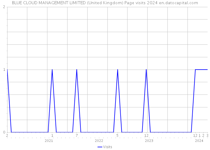 BLUE CLOUD MANAGEMENT LIMITED (United Kingdom) Page visits 2024 