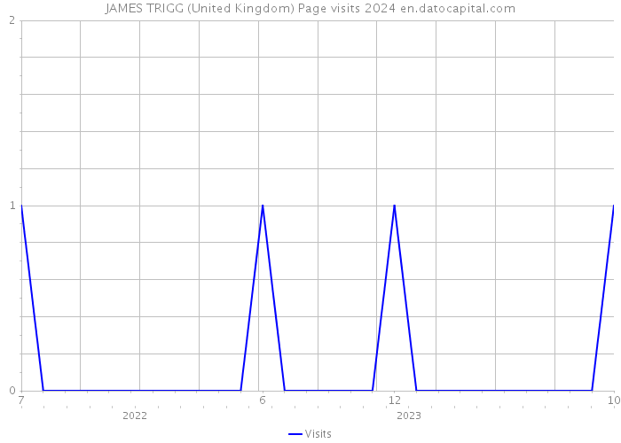 JAMES TRIGG (United Kingdom) Page visits 2024 