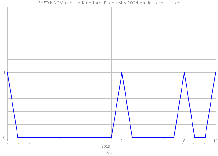 SYED NAQVI (United Kingdom) Page visits 2024 