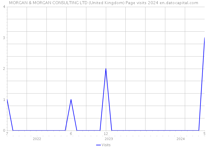 MORGAN & MORGAN CONSULTING LTD (United Kingdom) Page visits 2024 