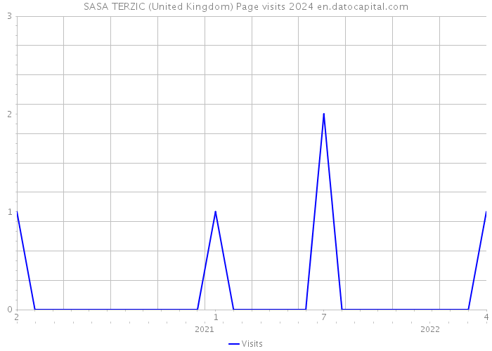 SASA TERZIC (United Kingdom) Page visits 2024 