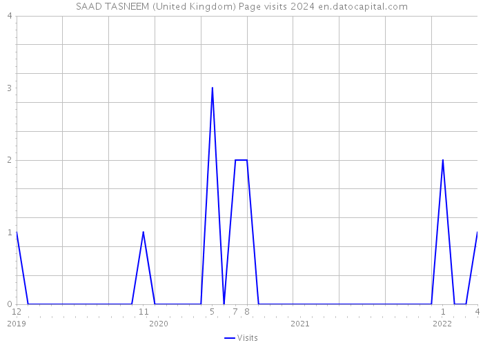 SAAD TASNEEM (United Kingdom) Page visits 2024 