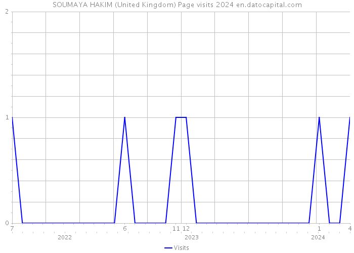 SOUMAYA HAKIM (United Kingdom) Page visits 2024 