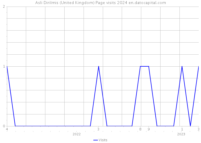 Asli Dirilmis (United Kingdom) Page visits 2024 