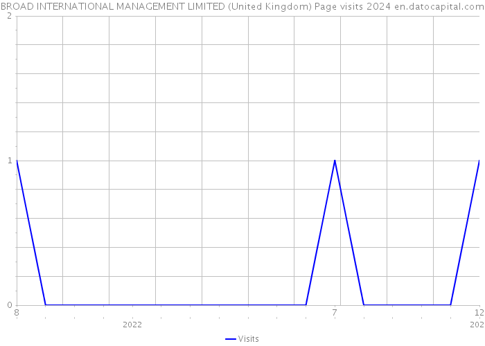 BROAD INTERNATIONAL MANAGEMENT LIMITED (United Kingdom) Page visits 2024 